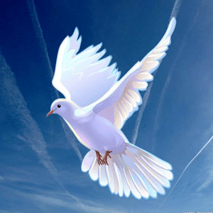 spirit